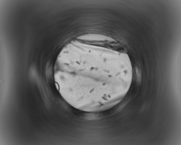 X0000083030238200703022033