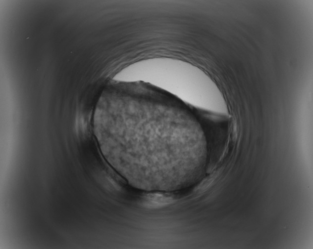 X0000083030239200703022033