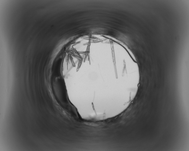 X0000083030241200703022032