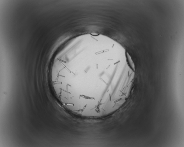 X0000083030242200703022032