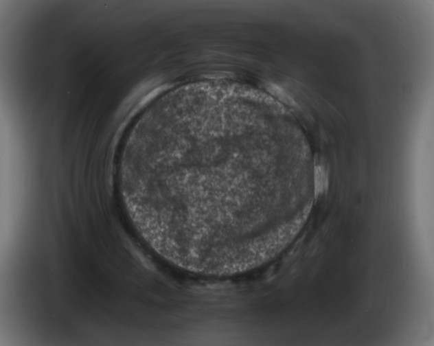 X0000083030243200703022032