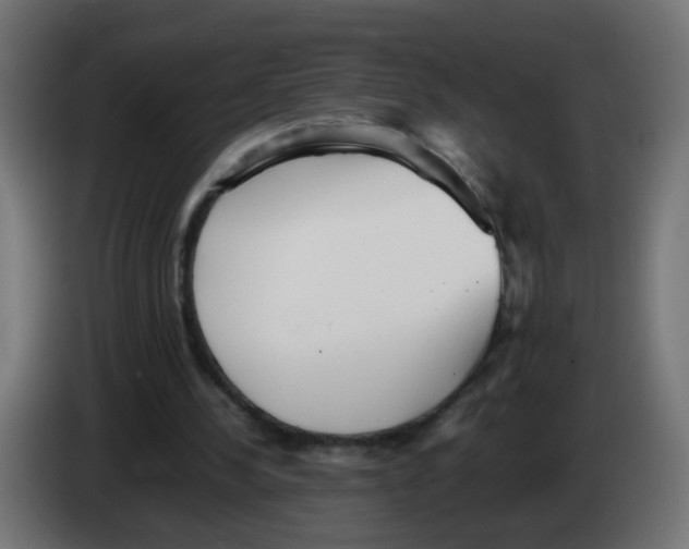 X0000083030244200703022032