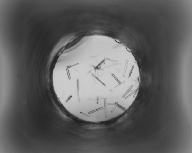 X0000083030245200703022032