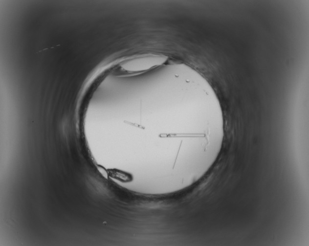 X0000083030246200703022032