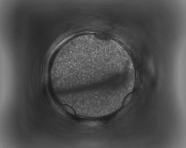 X0000083030247200703022032