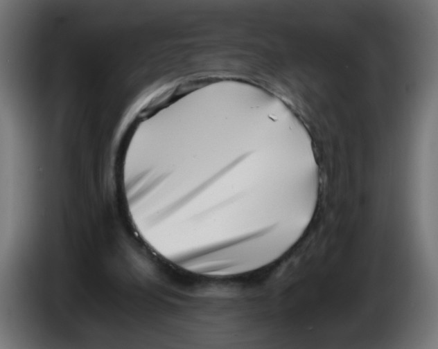 X0000083030248200703022032