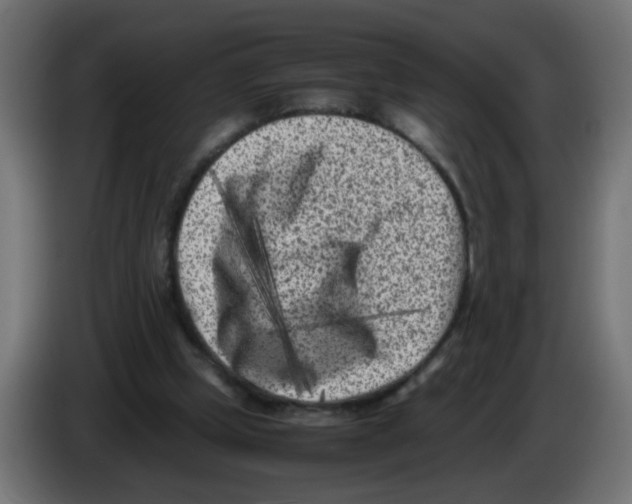 X0000083030249200703022032