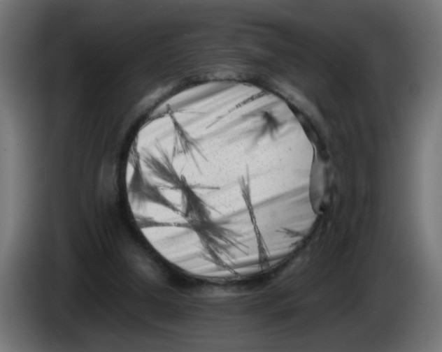 X0000083030250200703022032