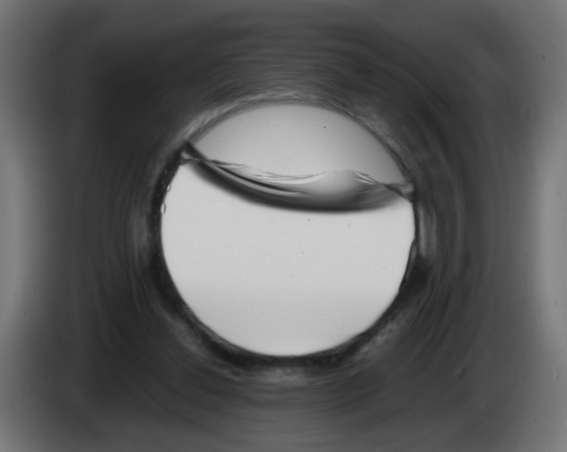 X0000083030252200703022032