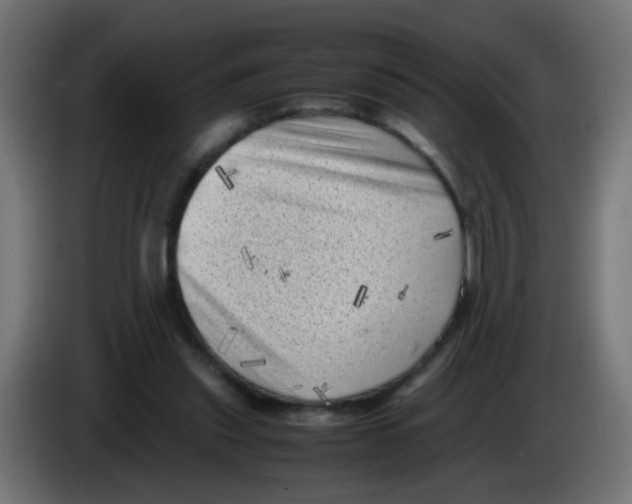 X0000083030253200703022032