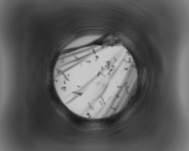 X0000083030255200703022032