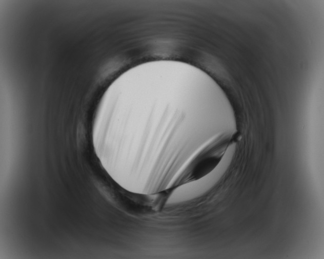 X0000083030256200703022033