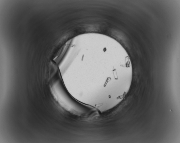 X0000083030257200703022033