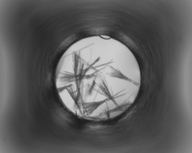 X0000083030258200703022033