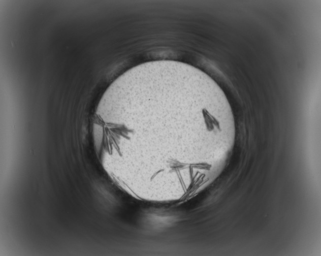 X0000083030259200703022033