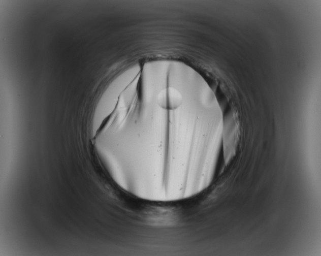 X0000083030260200703022033