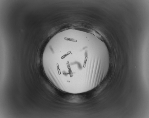 X0000083030261200703022033