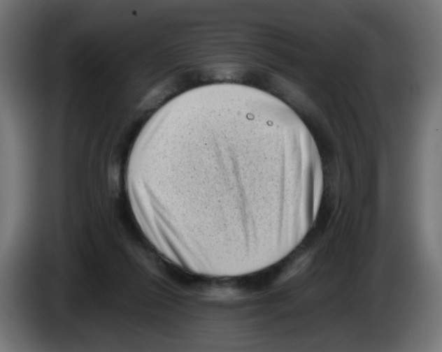 X0000083030262200703022033