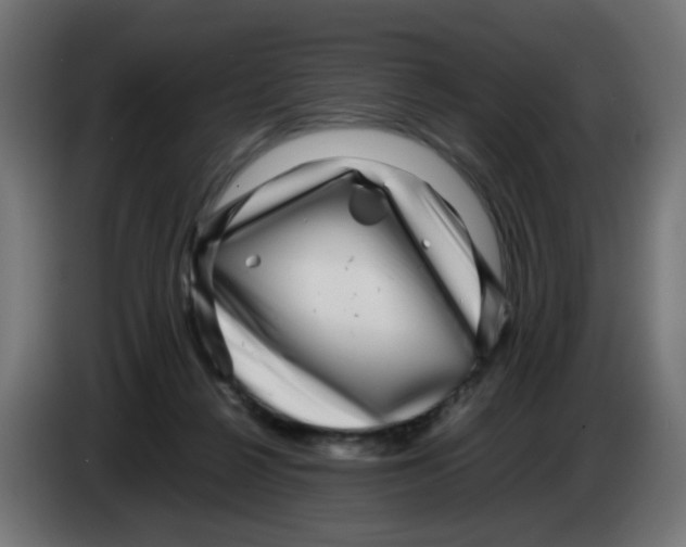 X0000083030264200703022033