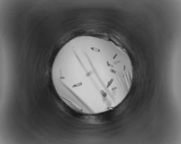 X0000083030265200703022033