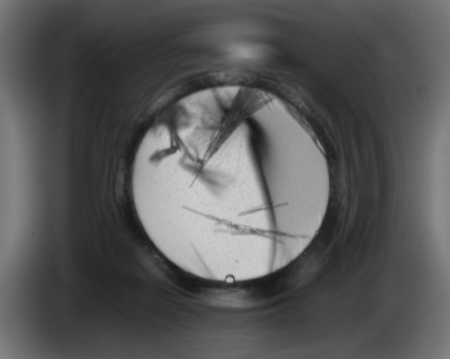 X0000083030266200703022033