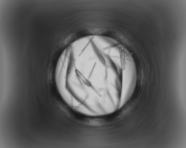 X0000083030268200703022033