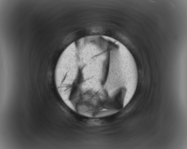 X0000083030269200703022033