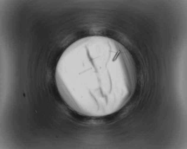 X0000083030270200703022033