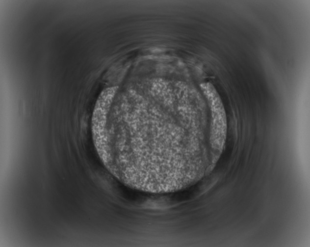 X0000083030271200703022033