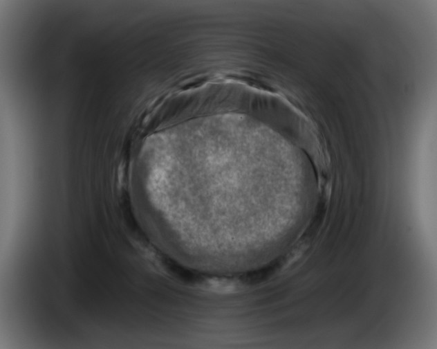 X0000083030272200703022033