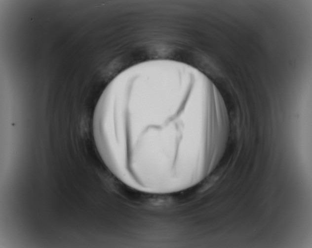 X0000083030274200703022033