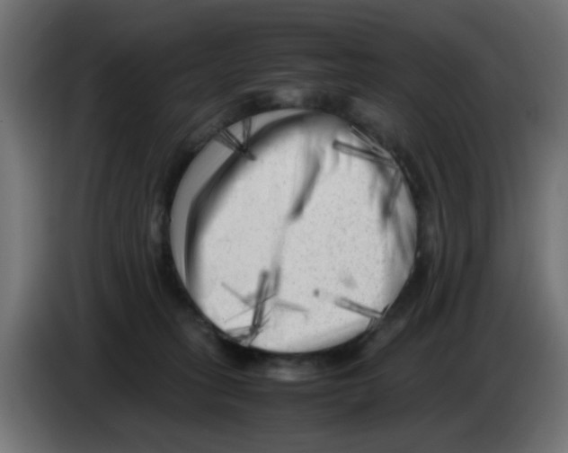 X0000083030275200703022033