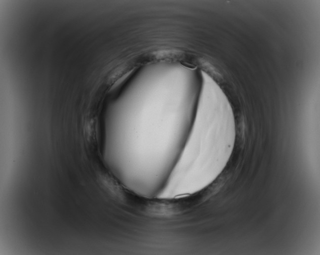 X0000083030276200703022033