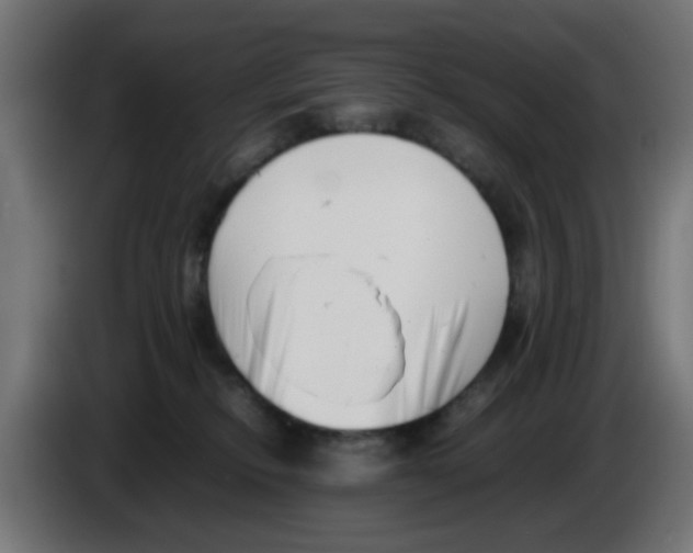 X0000083030278200703022033