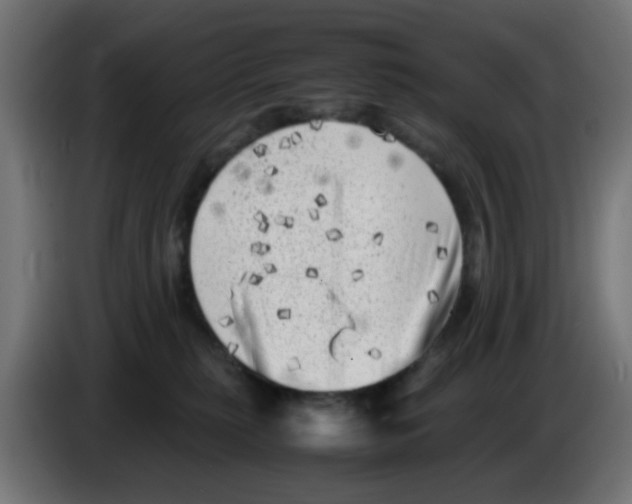 X0000083030279200703022033