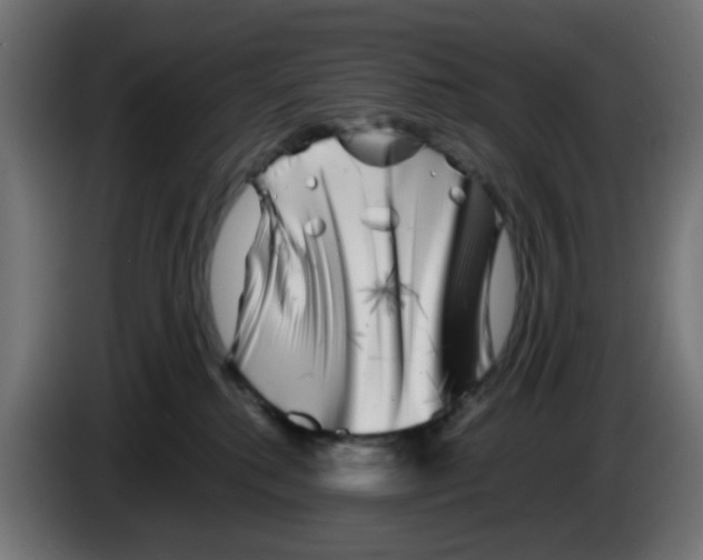 X0000083030280200703022033