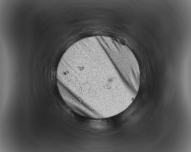 X0000083030281200703022033