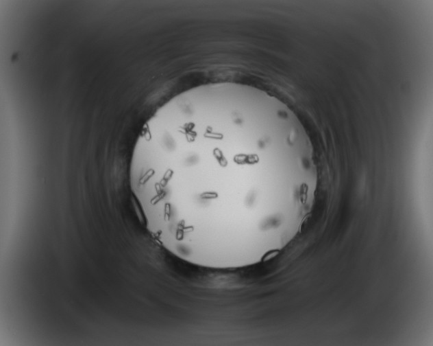 X0000083030283200703022033