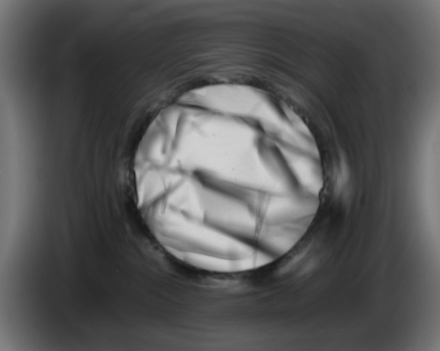 X0000083030284200703022033