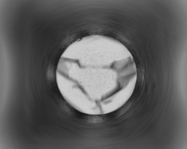 X0000083030287200703022033