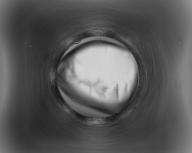 X0000083030288200703022033