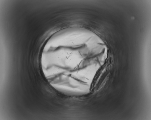 X0000083030290200703022032