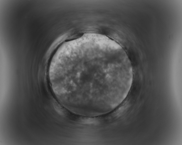 X0000083030293200703022032