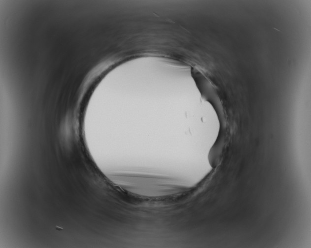 X0000083030294200703022032