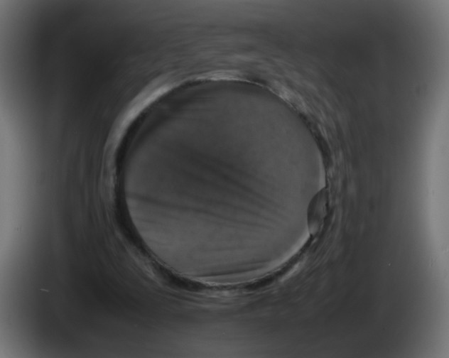 X0000083030295200703022032