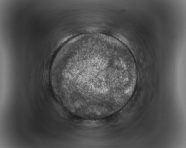 X0000083030297200703022032