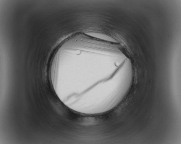 X0000083030298200703022032