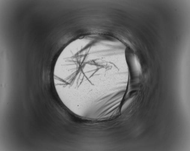 X0000083030299200703022032