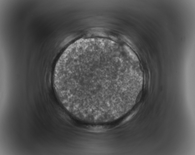 X0000083030301200703022032