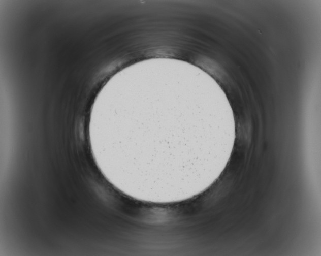 X0000083030302200703022032